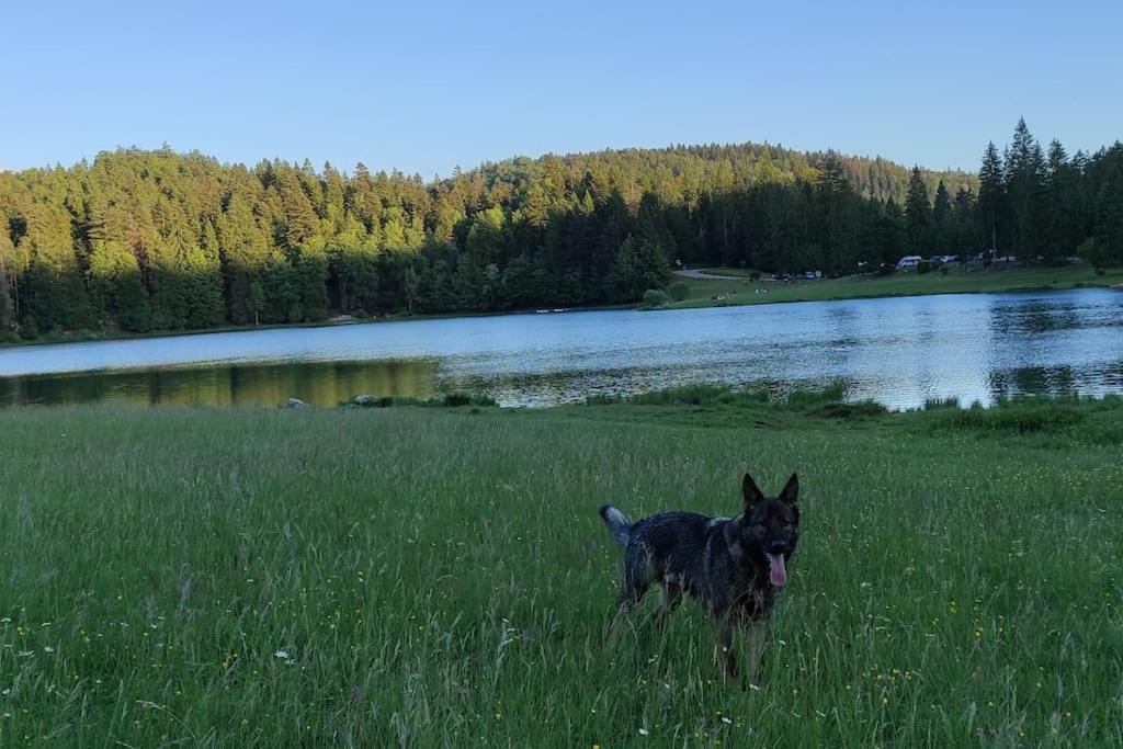 Studio Avec Belle Vue Proche Du Lac Genin Echallon Εξωτερικό φωτογραφία