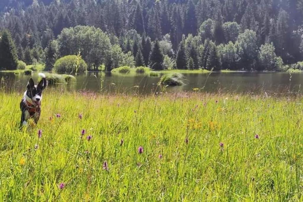 Studio Avec Belle Vue Proche Du Lac Genin Echallon Εξωτερικό φωτογραφία